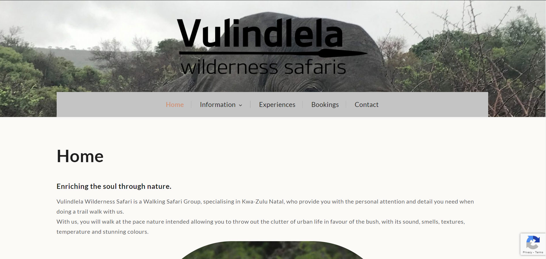 Web Development Project Vulindlela